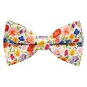 Mens Bow Tie Handmade Pre-Tied Fun Pattern Bow Ties for Men