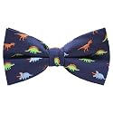 Mens Bow Tie Handmade Pre-Tied Fun Pattern Bow Ties for Men