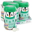 Mentos Sugar Free Gum, Spearmint Bottle, Winter Edition, 50 Count (Pack of 24)