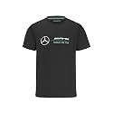 MERCEDES AMG PETRONAS Formula One Team - Official F1 Merchandise Collection - Kids T-Shirt with Large Logo