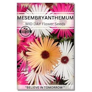 navika seeds  grow with us mesembryanthemum flower seeds for home gardening perfect for terrace gardening winter amp summer blooms in india - includes free e-book