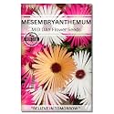 Navika Seeds ; Grow with Us Mesembryanthemum Flower Seeds For Home Gardening. Perfect For Terrace Gardening Winter &amp; Summer Blooms In India - Includes Free E-Book