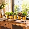 Metal Plant Stand with 5 Gold Pots, Indoor Herb Planter Rack
