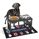 Metal Raised Dog Bowl, 10" Elevate Dog Feeder Stand, 2 Bowls &amp; Non-Slip Mat