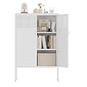 Metal Storage Cabinet,2 Door TV Stand, Metal Mesh Accent Cabinet