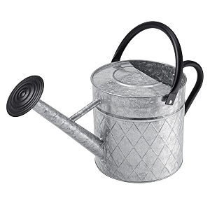 metal watering can for outdoor plants - 175 gallon66l vintage zinc watering can with removable spray spout ideal for outdoor use silver