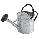 Metal Watering Can for Outdoor Plants - 1.75 Gallon(6.6L), Vintage Zinc Watering Can with Removable Spray Spout, Ideal for Outdoor Use (Silver)