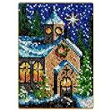 MIAOLLUN Christmas Latch Hook Kit for Adults Beginner, Church DIY Crochet Yarn Rugs Hooking Craft Needlework Kit with Color Preprinted Pattern for Home Decoration Festival Gift 20X15inch
