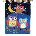 MIAOLLUN Latch Hook Kits, Cute Owl Under The Moon DIY Latch Hook Rug Crafts for Adults Beginner with Printed Canvas Pattern Embroidery for Home Decor Gift 52X38cm/20.5 Inch X15 Inch