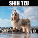 MICASA PRESS Shih Tzu 2026 Wall Calendar 12 Month | 12" x 24" Open | Thick &amp; Sturdy Paper | Holiday Gift | Cute Puppy Dog Calendar 2026