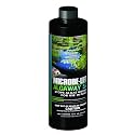 MICROBE-LIFT ALGA16 Algaway 5.4 Algae Control Treatment for Ponds and Water Gardens, Safe for Koi Fish, Goldfish, Plants, and Decorations, 16 Ounces (Pack of 12)