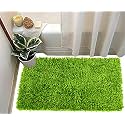Anti Skid Washable Door Mats Bath Mats for Home, Office and Bathroom (16 x 24, Green)