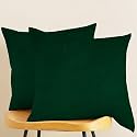 IVAZA Microfibre Soft &amp; Fulffy Filled Decorative Pillow/Throw Pillow Inserts,Sqaure Pillows Velvet Cushion Inserts Square Pillow,Cushion for Sofa, Car and DecorationSet of 2 (12" x 12") Emerd Green