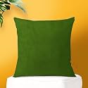 IVAZA Microfibre Soft &amp; Fulffy Filled Decorative Pillow/Throw Pillow Inserts,Sqaure Pillows Velvet Cushion Inserts Square Pillow,Cushion for Sofa, Car and DecorationSet of 2 (12" x 12") Light Green