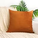 IVAZA Microfibre Soft &amp; Fulffy Filled Decorative Pillow/Throw Pillow Inserts,Sqaure Pillows Velvet Cushion Inserts Square Pillow,Cushion for Sofa, Car and DecorationSet of 1 (16" x 16") Burnt Orange