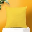 IVAZA Microfibre Soft &amp; Fulffy Filled Decorative Pillow/Throw Pillow Inserts,Sqaure Pillows Velvet Cushion Inserts Square Pillow,Cushion for Sofa, Car and DecorationSet of 1 (24" x 24") Gold