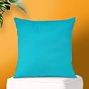 IVAZA Microfibre Soft &amp; Fulffy Filled Decorative Pillow/Throw Pillow Inserts,Sqaure Pillows Velvet Cushion Inserts Square Pillow,Cushion for Sofa, Car and DecorationSet of 1 (16" x 16") Aqua
