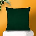 IVAZA Microfibre Soft &amp; Fulffy Filled Decorative Pillow/Throw Pillow Inserts,Sqaure Pillows Velvet Cushion Inserts Square Pillow,Cushion for Sofa, Car and DecorationSet of 1 (12" x 12") Emerd Green
