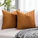 IVAZA Microfibre Soft &amp; Fulffy Filled Decorative Pillow/Throw Pillow Inserts,Sqaure Pillows Velvet Cushion Inserts Square Pillow,Cushion for Sofa, Car and DecorationSet of 2 (16" x 16") Burnt Orange