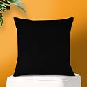 IVAZA Microfibre Soft &amp; Fulffy Filled Decorative Pillow/Throw Pillow Inserts,Sqaure Pillows Velvet Cushion Inserts Square Pillow,Cushion for Sofa, Car and DecorationSet of 1 (16" x 16") Black