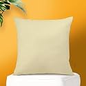IVAZA Microfibre Soft &amp; Fulffy Filled Decorative Pillow/Throw Pillow Inserts,Sqaure Pillows Velvet Cushion Inserts Square Pillow,Cushion for Sofa, Car and DecorationSet of 1 (16" x 16") Beige
