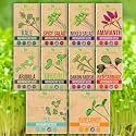 Microgreen Seeds - USA Premium 10 Variety Seeds Pack