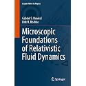 Microscopic Foundations of Relativistic Fluid Dynamics: 990 (Lecture Notes in Physics, 990)