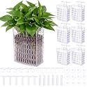 Mifoci 6 Pack Aquarium Plant Holder Adjustable Height with Suction Cups Extendable Hook Hanging Live Aquarium Plants Holder for Fish Tank Aquaponic Cultivation and Aquascape Decoration(Clear)