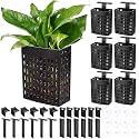 Mifoci 6 Pack Aquarium Plant Holder Adjustable Height with Suction Cups Extendable Hook Hanging Live Aquarium Plants Holder for Fish Tank Aquaponic Cultivation and Aquascape Decoration(Black)