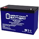 Mighty Max Battery ML100-12 GEL - 12 Volt 100 AH, GEL Type, Internal Thread (INT) Terminal, Rechargeable SLA AGM Battery