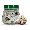 Mihofresh Uttarakhand Famous Bal Mithai Famous Indian