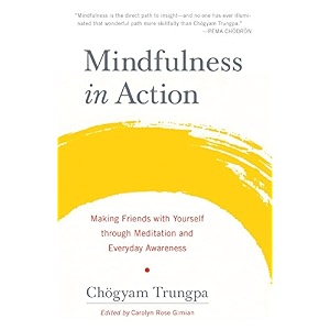 mindfulness in action  making friends with yourself through meditation and everyday awareness