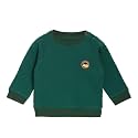 miniklub Boys Green Solid Sweatshirt