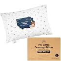 Mini Toddler Pillow with Pillowcase, 9x13 My Little Dreamy Pillow, Acorn