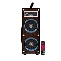 MI-Royal Pro 90W Tower Speaker 18" Inch Height 6.5" Inch Subwoofer 10mm Wooden Heavy Cabinet Mic supportable Bluetooth/Aux/Mic/FM/USB with Remote Control RGB Lights (Pure Black)