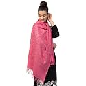 Mintt Tweedle Women's Pure Wool Kashmiri Embroidery Stole/Shawl/Wrap for Winters (28 x 80 - inches)