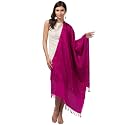 Mintt Tweedle Women's Pure Wool Kashmiri Embroidery Stole/Shawl/Wrap for Winters (28 x 80 - inches)