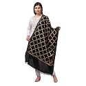 Mintt Tweedle Women's Pure Wool Kashmiri Embroidery Stole/Shawl/Wrap for Winters (28 x 80 - inches)