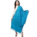 Mintt Tweedle Women's Pure Wool Kashmiri Embroidery Stole/Shawl/Wrap for Winters (28 x 80 - inches)