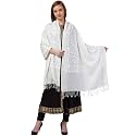 Mintt Tweedle Women's Pure Wool Kashmiri Embroidery Stole/Shawl/Wrap for Winters (28 x 80 - inches)