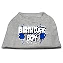 Mirage Pet Products 18-Inch Birthday Boy Screen Print Shirts, XX-Large, Grey