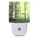 Misty Forest Night Light,Fantasy Green Tree Night Lights Plug into Wall with Dusk to Dawn Light Sensors 0.5W Dim Night-Lights for Bedroom