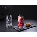 Premium Juice Glasses 450 ML Drinking Glasses, Highball Lead-Free Glasses, Tumblers for Water, Juice, Beer, Cocktail and Mixed Drinks - 2 Pieces, Transparent (TR-03, 2 Count (Pack of 1))