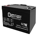 ML100-12 - 12 Volt 100 AH, Internal Thread (INT) Terminal, Rechargeable SLA AGM Battery, 1 Count (Pack of 1)
