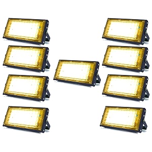 MLD 10W Led Flood Light AC 220V