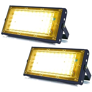 MLD 10W Led Flood Light AC 220V