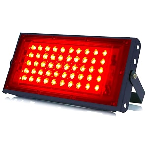 MLD 10W Led Flood Light AC 220V