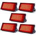 MLD 10W Led Flood Light AC 220V