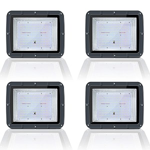 MLD 200w led flood light outdoor waterproof