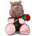 Cute Hippo Plush with Red Rose 27 cm - 27 cm (Multicolor) toys for kids toys pillow baby products kids toys toys for girls teddy bear baby toys new born baby products all toys for boys toy soft toys soft toys for girls toys f